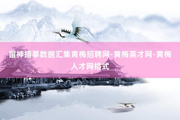 留神描摹数据汇集黄梅招聘网-黄梅英才网-黄梅人才网格式